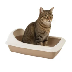 Nice Care Caixa de areia Birba bege com borda para gatos
