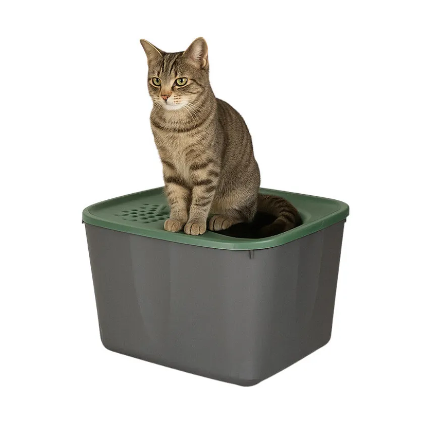 Nice Care Eco Caixa de areia Micia verde para gatos