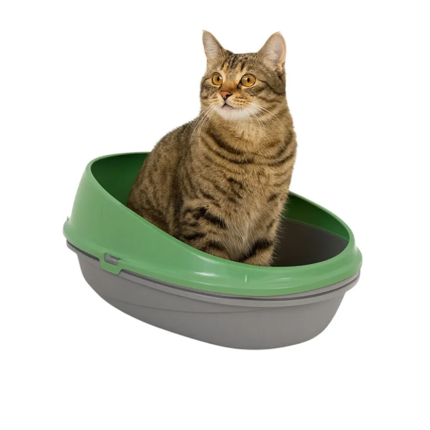 Nice Care Eco Caixa de areia Redonda verde para gatos
