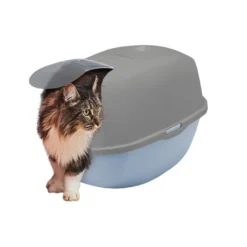 Nice Care Eco Caixa de areia Smart azul e verde para gatos