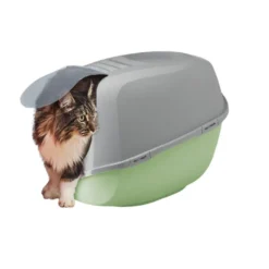 Nice Care Eco Caixa de areia Smart verde para gatos