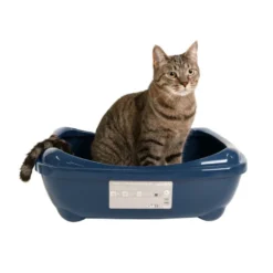 Nice Care Kit de iniciação azul para gatos