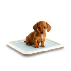 Nice Care Tabuleiro higiénico Gastone Bege para cães