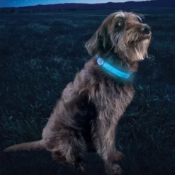 Nite Ize NiteDog Banda LED Recarregável para cães
