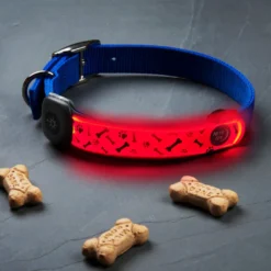 Nite Ize NiteDog Banda LED Recarregável para cães