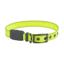 Nite Ize NiteDog Coleira LED Recarregável Verde para cães