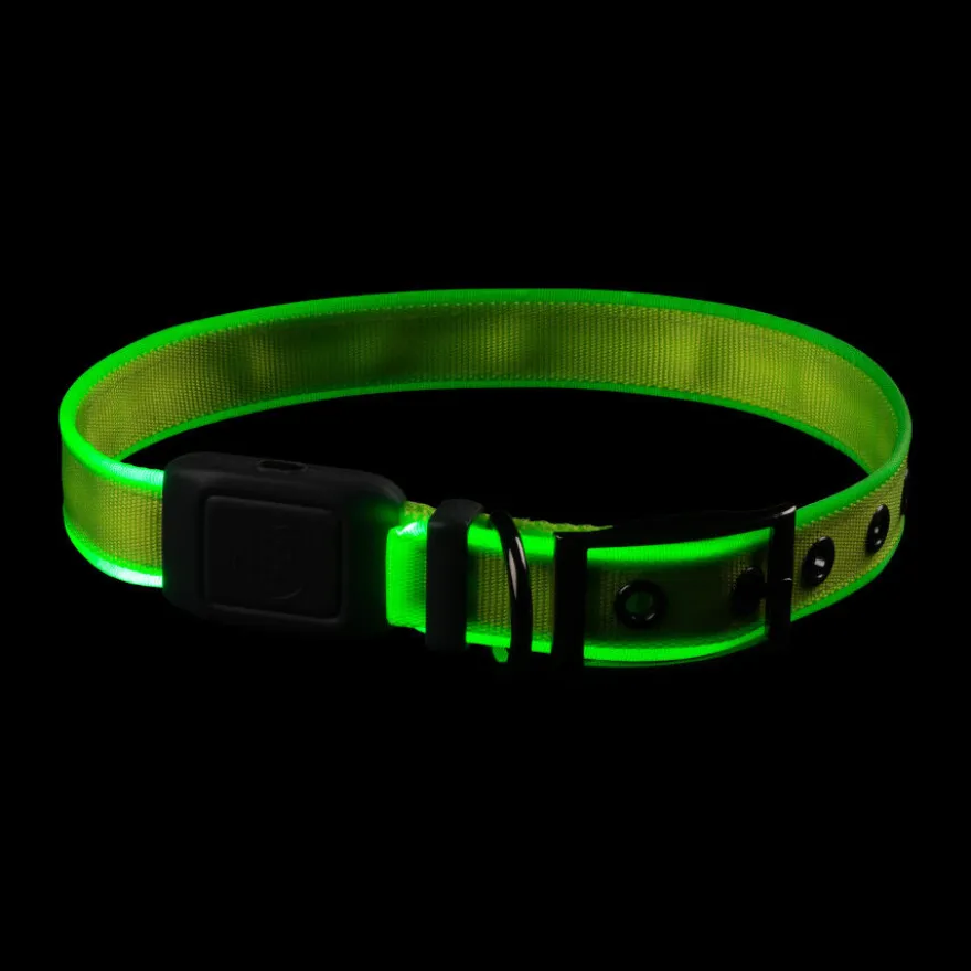 Nite Ize NiteDog Coleira LED Recarregável Verde para cães
