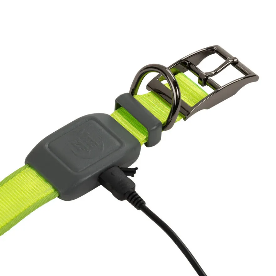 Nite Ize NiteDog Coleira LED Recarregável Verde para cães