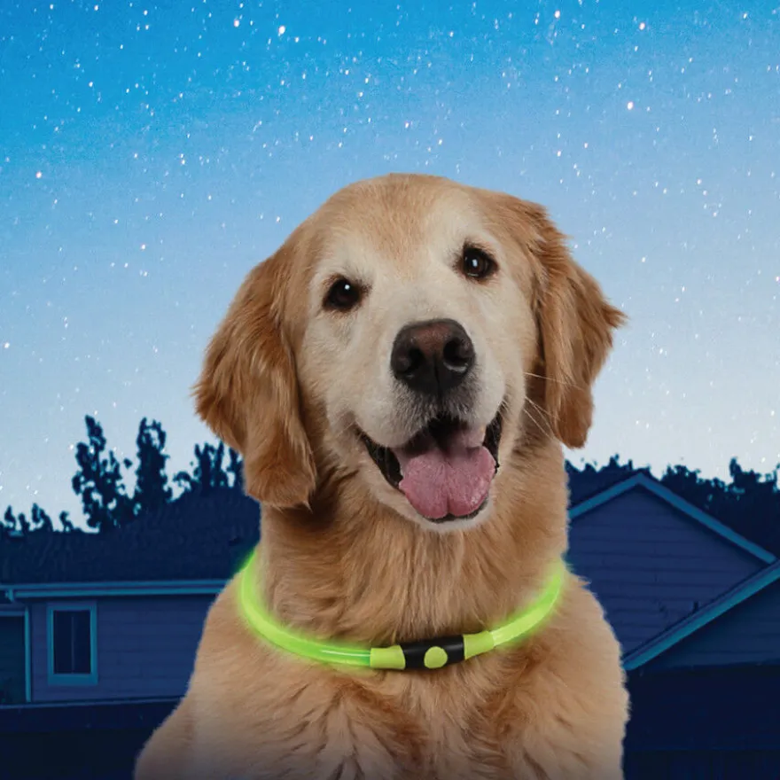 Nite Ize Nite Howl Coleira Led Verde para cães