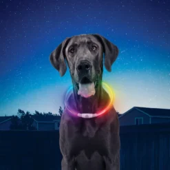 Nite Ize Nite Howl Disc-O-Select LED Coleira para cães