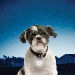 Nite Ize PetLit Luz LED branca com mosquetão para coleiras de cães