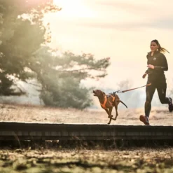 Non-stop Dogwear Canix Belt Cinto de Canicross Preto para cães