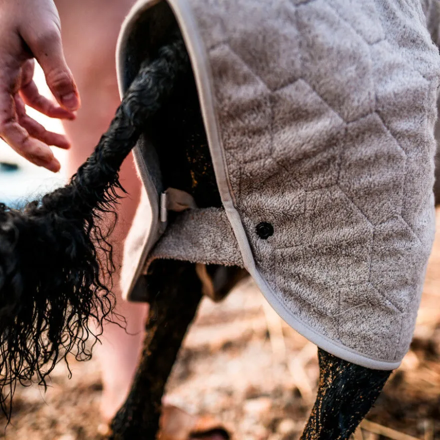 Non-stop Dogwear Casaco de Secagem Areia para cães