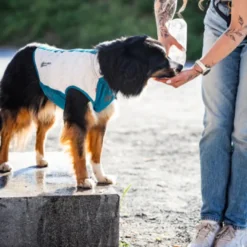 Non-stop Dogwear Colete Refrescante Pull-On Cinzento para cães