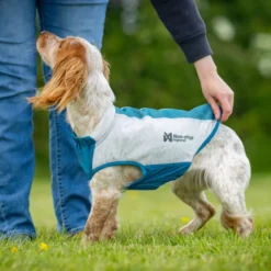Non-stop Dogwear Colete Refrescante Pull-On Cinzento para cães