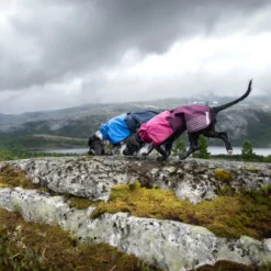 Non-stop dogwear Fjord Capa de chuva impermeável azul para cães