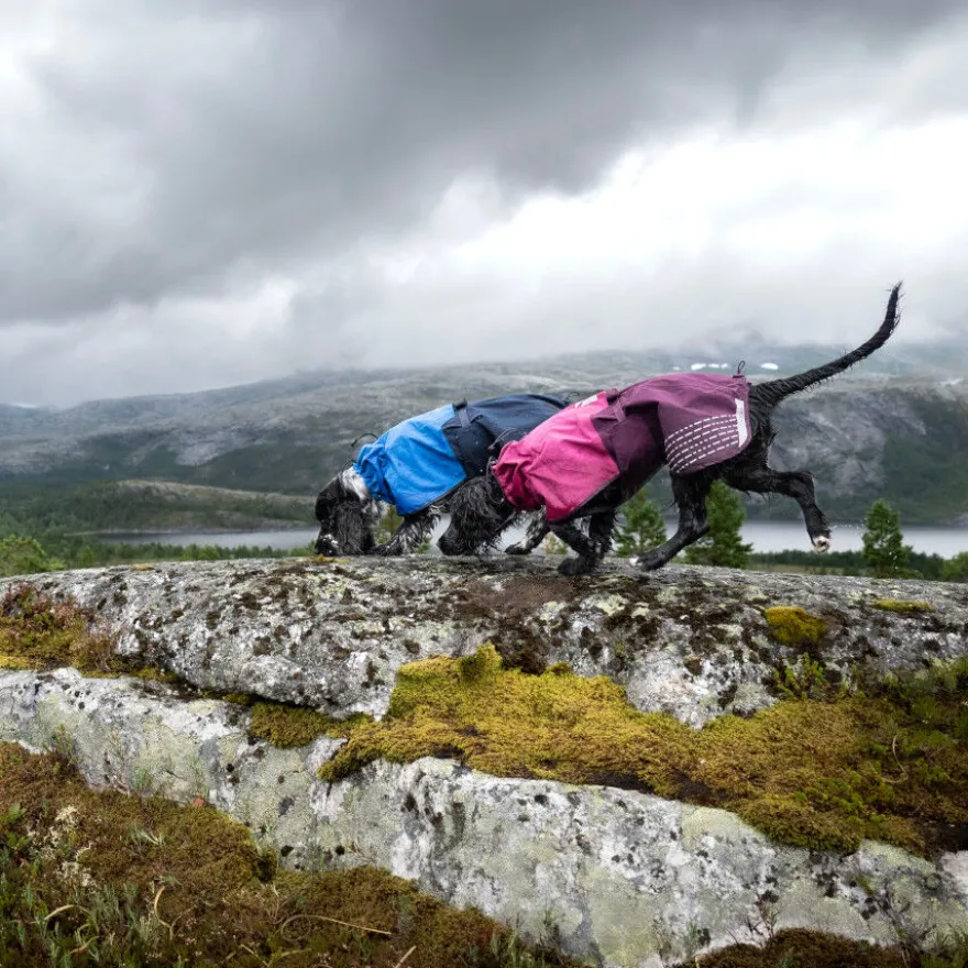 Non-stop dogwear Fjord Capa de chuva impermeável azul para cães