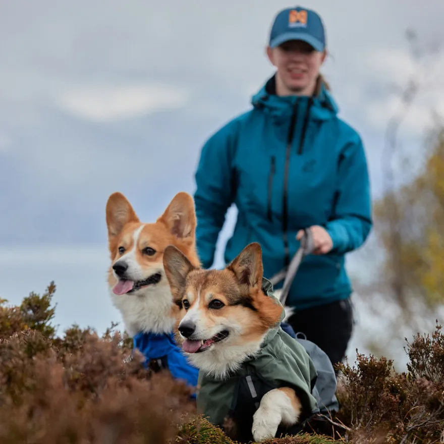 Non-stop dogwear Fjord Capa de chuva impermeável azul para cães