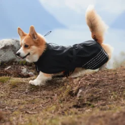 Non-stop dogwear Fjord Capa de chuva impermeável preta para cães