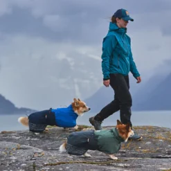 Non-stop dogwear Fjord Capa de chuva impermeável preta para cães