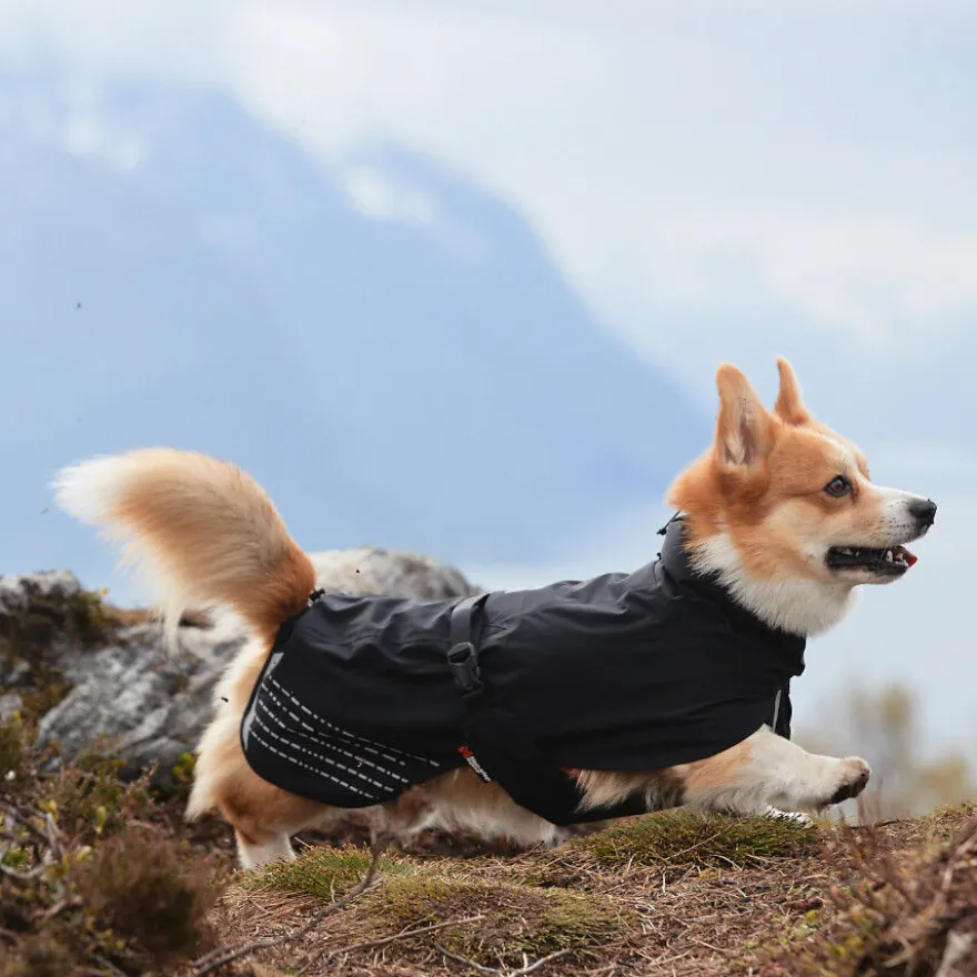 Non-stop dogwear Fjord Capa de chuva impermeável preta para cães