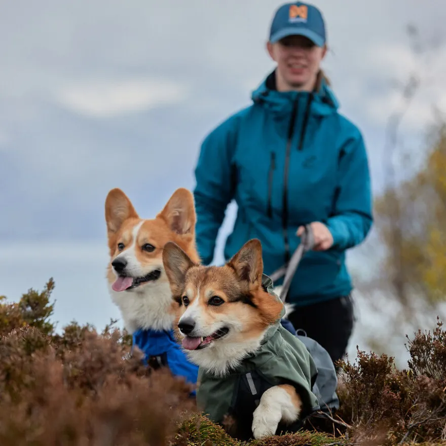 Non-stop dogwear Fjord Capa de chuva impermeável preta para cães