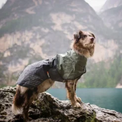 Non-stop dogwear Fjord Capa de chuva impermeável preto e verde para cães