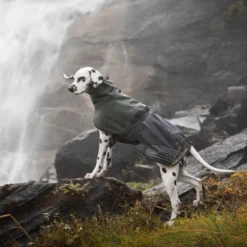 Non-stop dogwear Fjord Capa de chuva impermeável preto e verde para cães