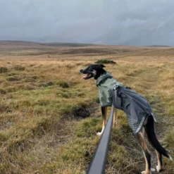 Non-stop dogwear Fjord Capa de chuva impermeável preto e verde para cães