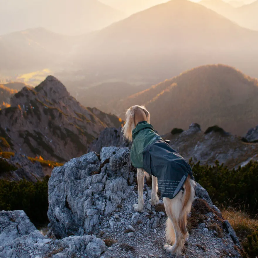 Non-stop dogwear Fjord Capa de chuva impermeável preto e verde para cães