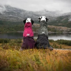 Non-stop dogwear Fjord Capa de chuva impermeável preto e verde para cães