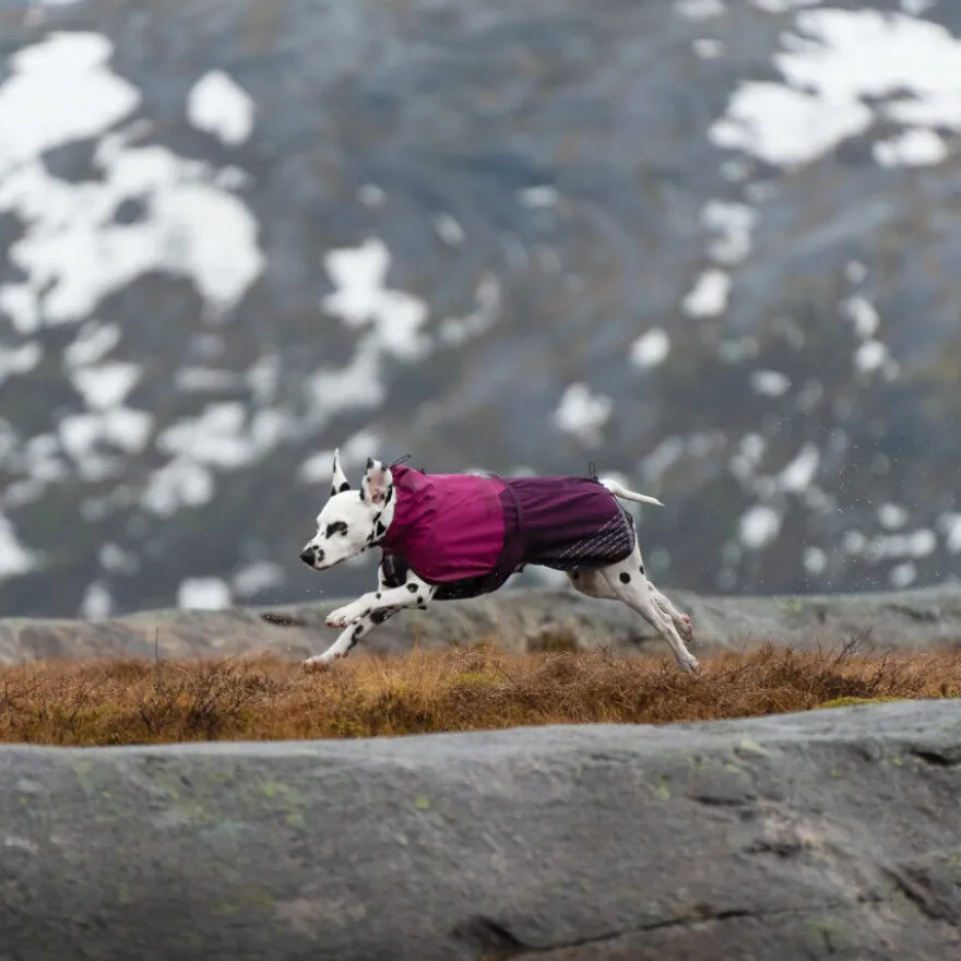 Non-stop dogwear Fjord Capa de chuva impermeável púrpura para cães