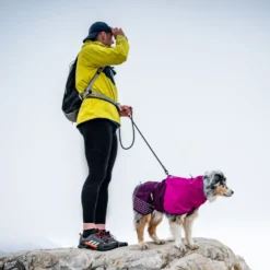 Non-stop dogwear Fjord Capa de chuva impermeável púrpura para cães