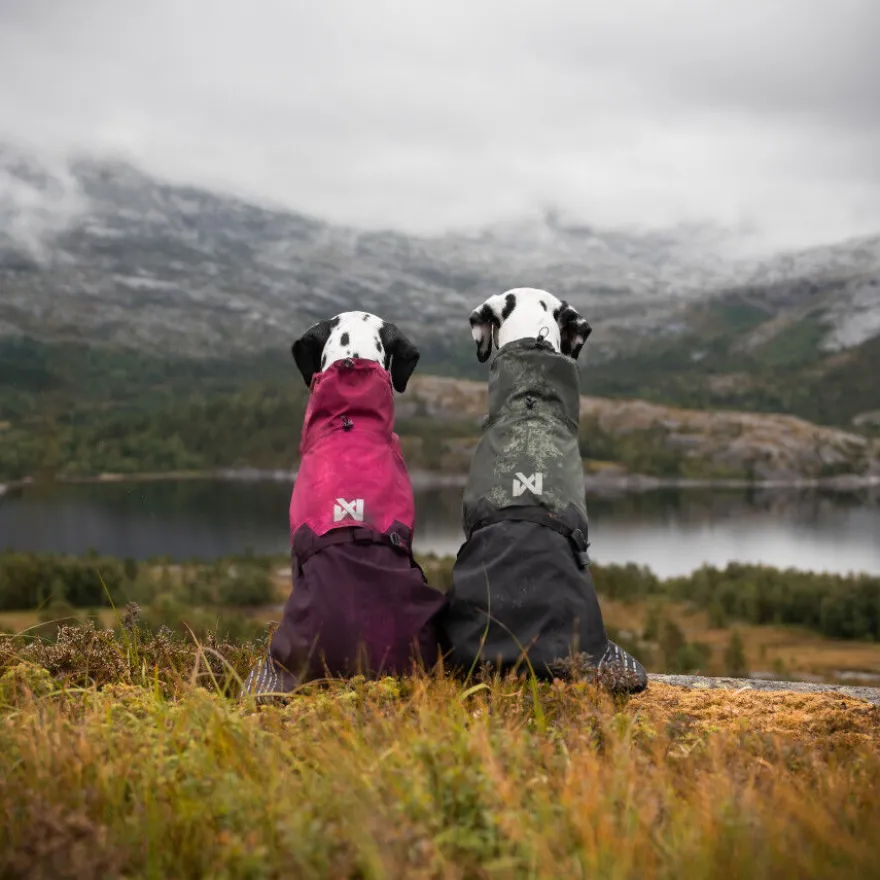Non-stop dogwear Fjord Capa de chuva impermeável púrpura para cães