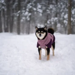 Non-stop Dogwear Glacier Casaco Impermeável Malva para cães