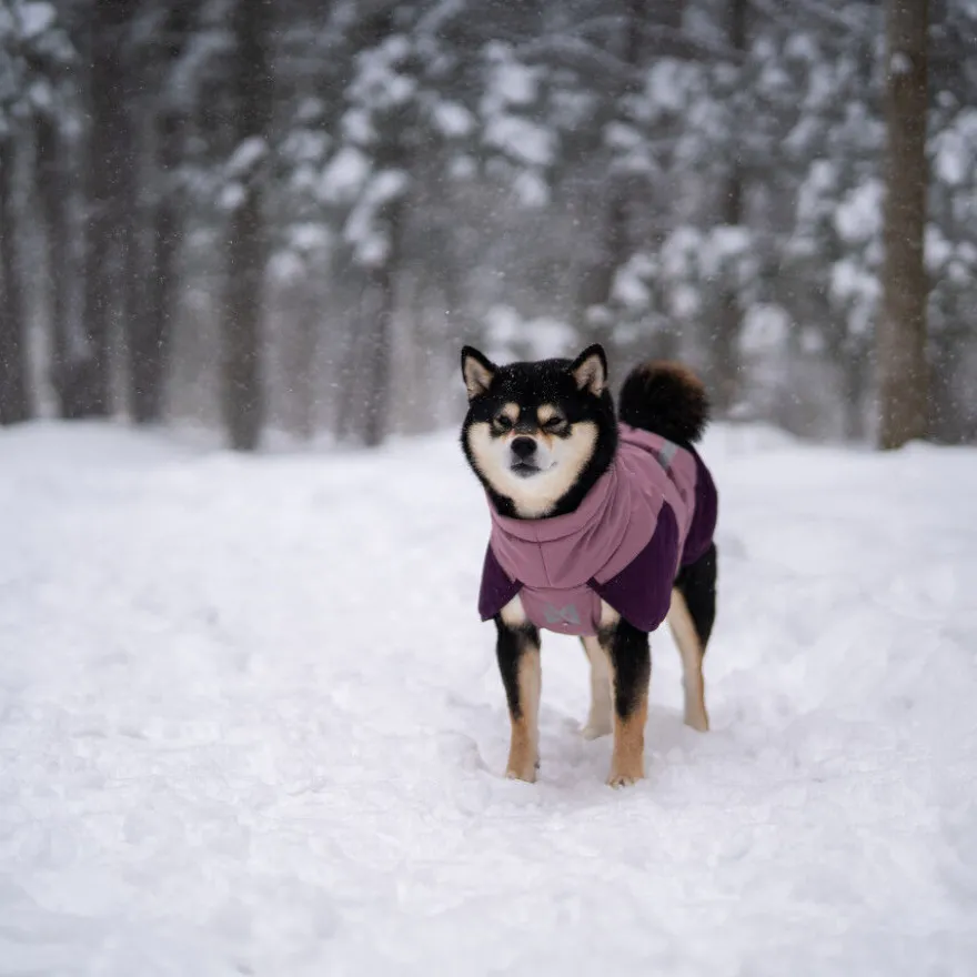 Non-stop Dogwear Glacier Casaco Impermeável Malva para cães
