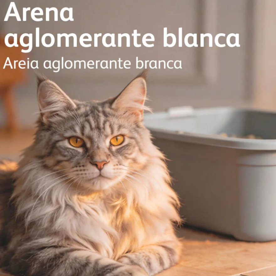 Nova Clean Marselha Areia Aglomerante para gatos