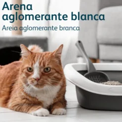 Nova Clean Ultra Areia Aglomerante Carvão para gatos