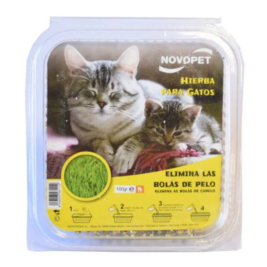 Novopet Catnip