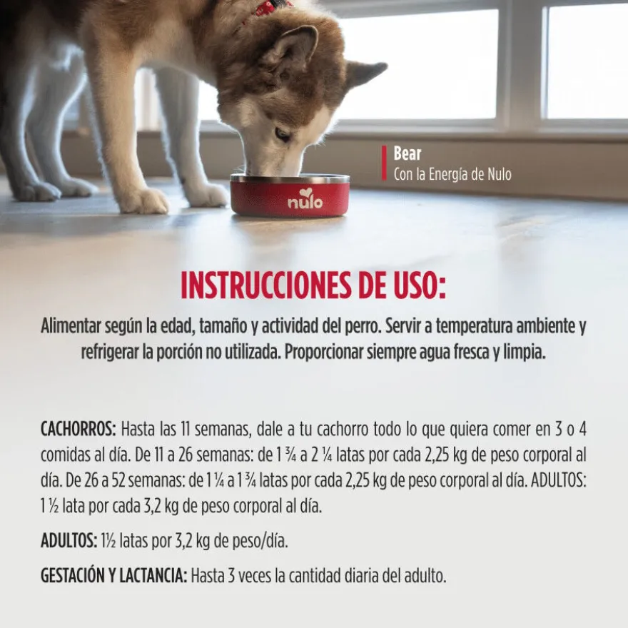 Nulo Comida húmida Estufado de Frango e Salmão em caldo em lata para cães