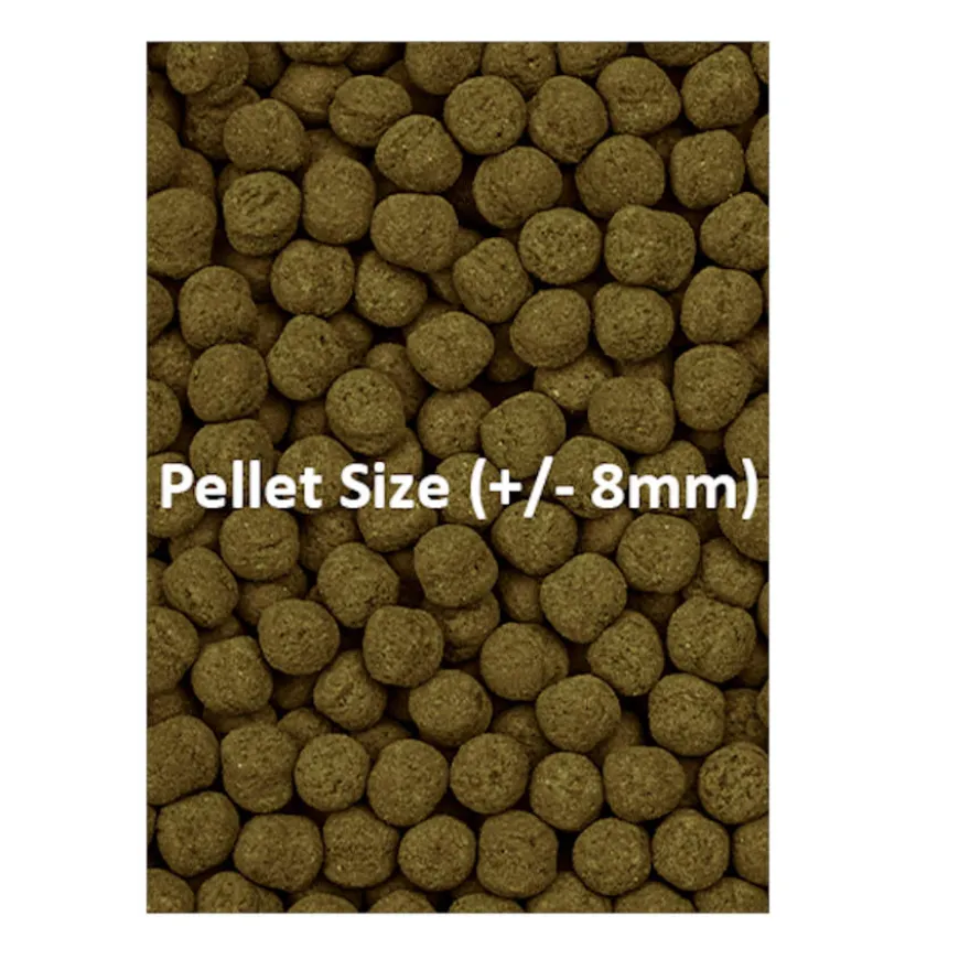 Ocean Nutrition Formula Two Marine Pellet para peixes tropicais