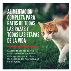 Orijen Fit&Trim ração para gatos