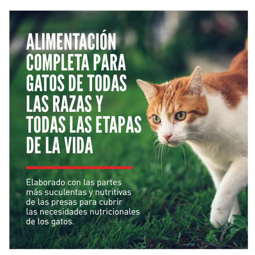 Orijen Fit&Trim ração para gatos