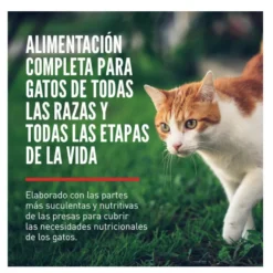 Orijen Guardian 8 Ração para gatos