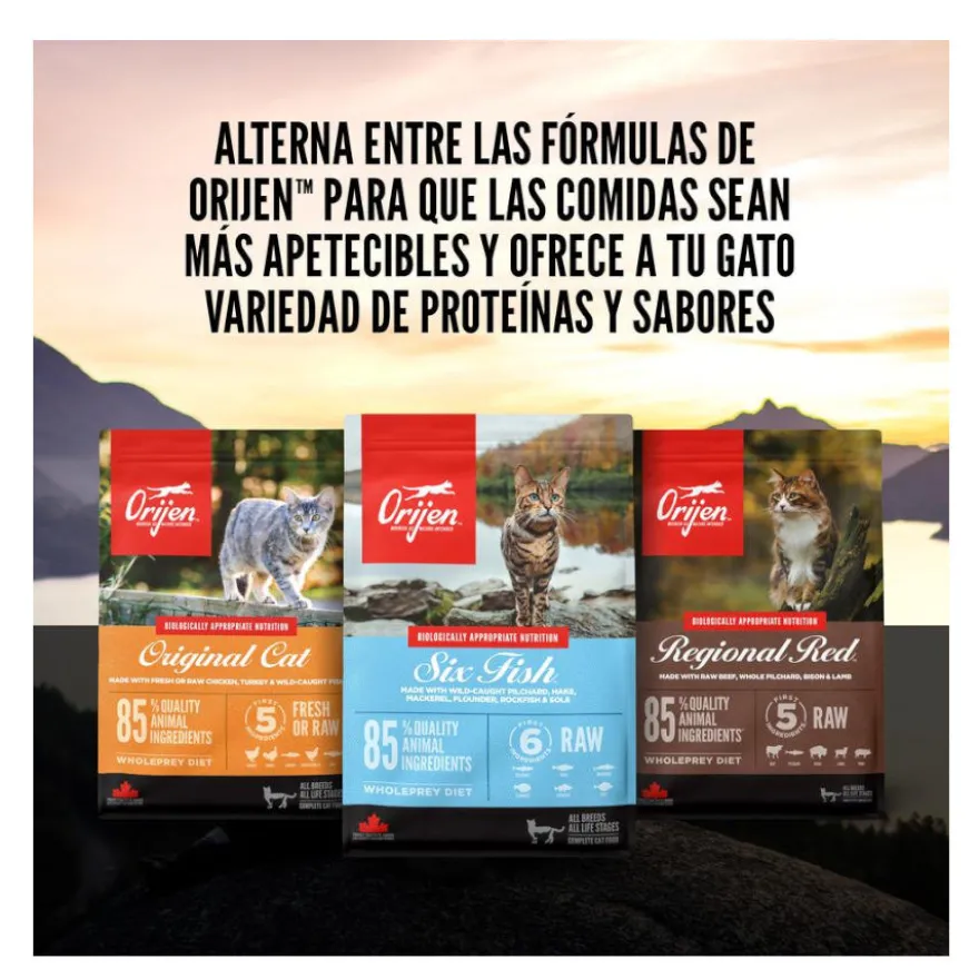 Orijen Guardian 8 Ração para gatos
