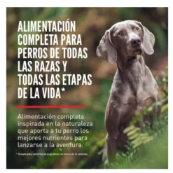 Orijen Original ração para cães
