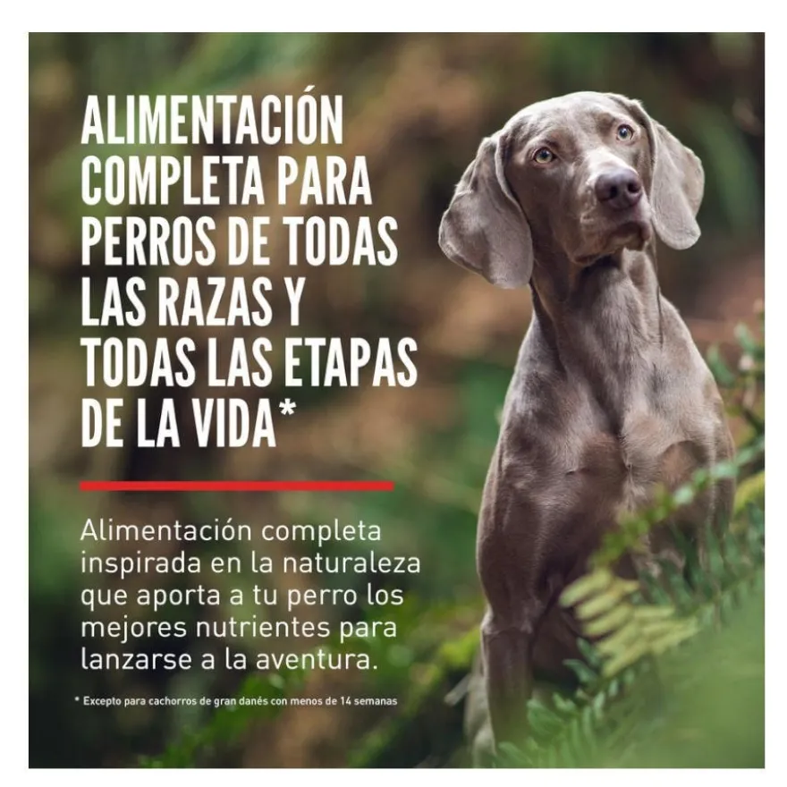 Orijen Original ração para cães
