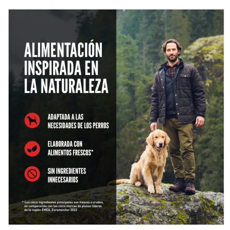 Orijen Original ração para cães