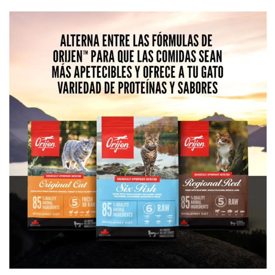 Orijen Original ração para gatos e gatinhos