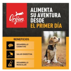 Orijen Puppy Large ração para cães